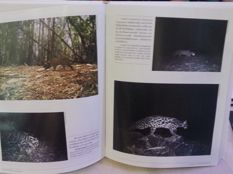 ตัวอย่างภาพในหนังสือ “แม่วงก์-คลองลาน ผืนป่าแห่งความหวัง”